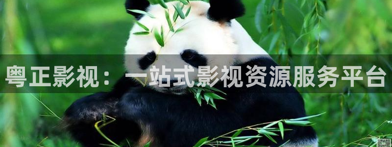 天狼电影院：粤正影视：一站式影视资源服务平台