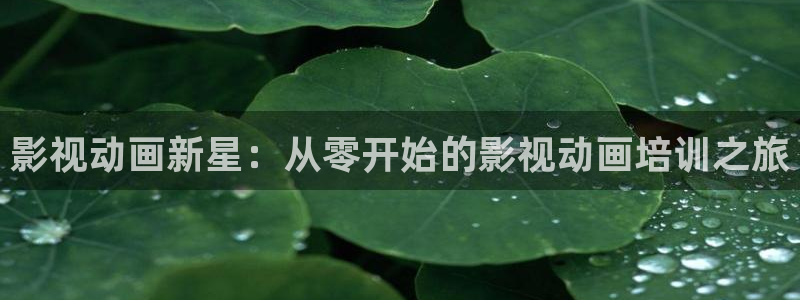 天狼影院姐姐的朋友：影视动画新星：从零开始的影视动画培训之旅