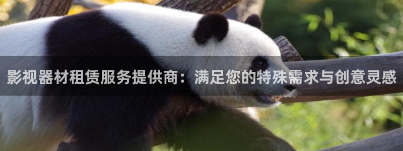 2020年最新电影天狼影院：影视器材租赁服务提供商：满足您的特殊需求与创意灵感