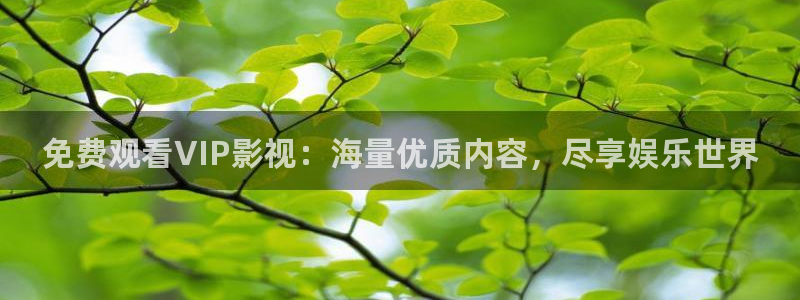 天狼影院免费观看电视剧全集：免费观看VIP影视：海量优质内容，尽享娱乐世界