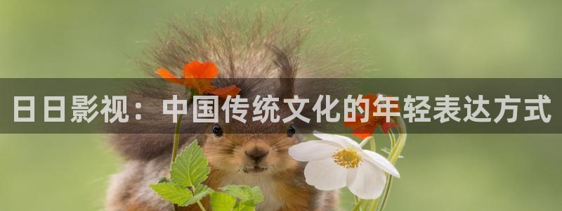 www.天狼影视：日日影视：中国传统文化的年轻表达方式