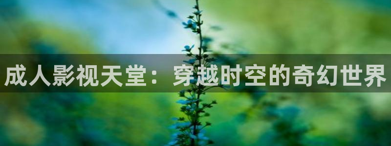 天狼影院2026最新电视剧：成人影视天堂：穿越时空的奇幻世界