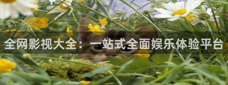 天狼影院怕怕怕：全网影视大全：一站式全面娱乐体验平台
