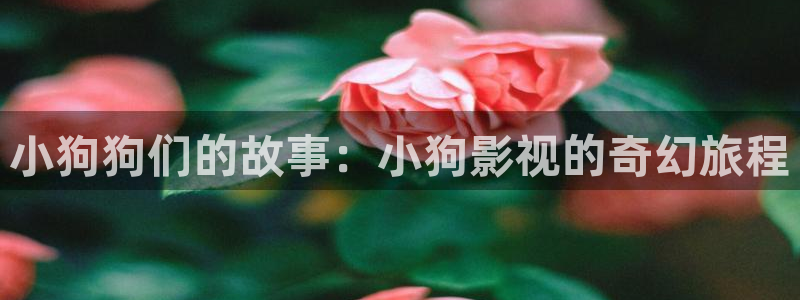 天狼影院免费高清电影：小狗狗们的故事：小狗影视的奇幻旅程