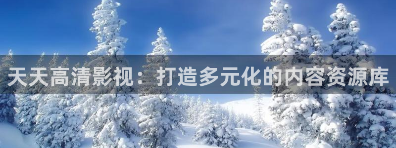 天狼影院2024电视剧免费：天天高清影视：打造多元化的内容资源库